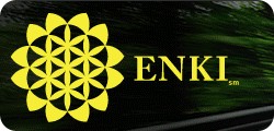 Enki Consulting