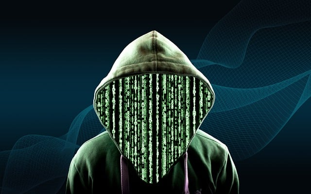 Anonymous Hacker