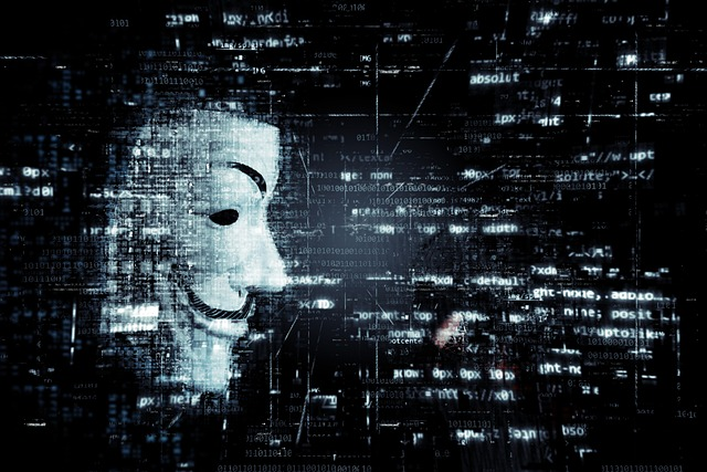 Anonymous Hacktivist