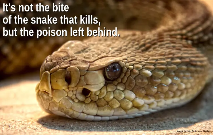 Inspiration & Motivation