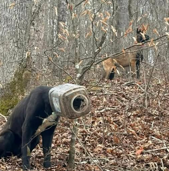 Good Words, Good Deeds, Good News