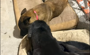 Good Words, Good Deeds, Good News